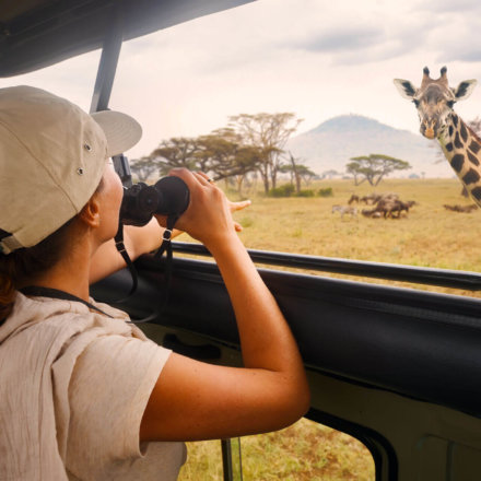 Mädchen beobachtet Giraffe bei einer Safari