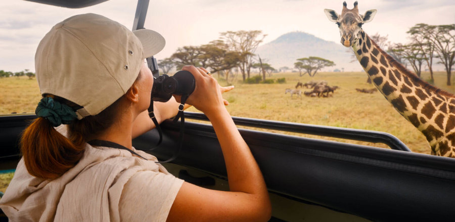 Mädchen beobachtet Giraffe bei einer Safari