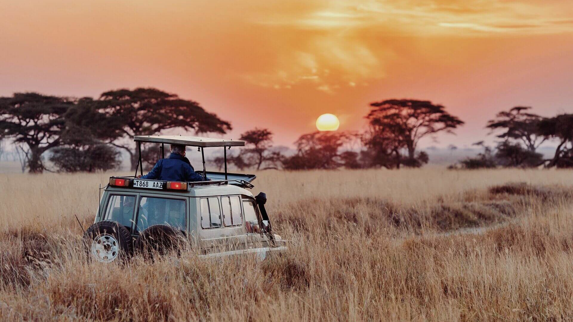 Mann macht mit einem Auto eine Safari