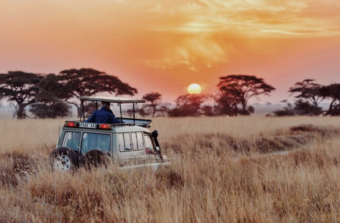 Mann macht mit einem Auto eine Safari