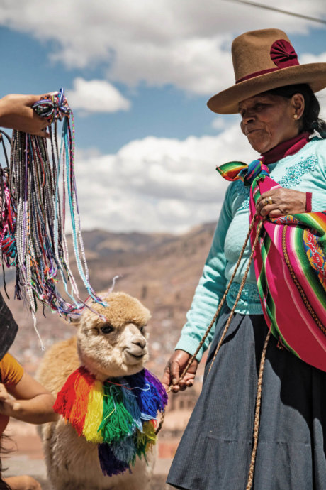 Frau und ein Lama in Peru