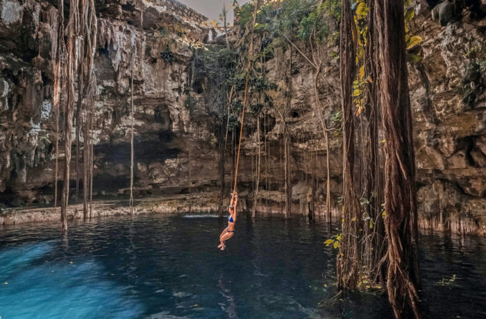 free-birds--t-fSQL2b_g-unsplash