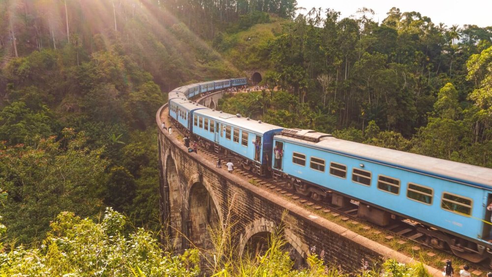 adam-vandermeer-Dw9dWTzzsUE-unsplash