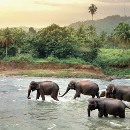 iStock-505221662_ret