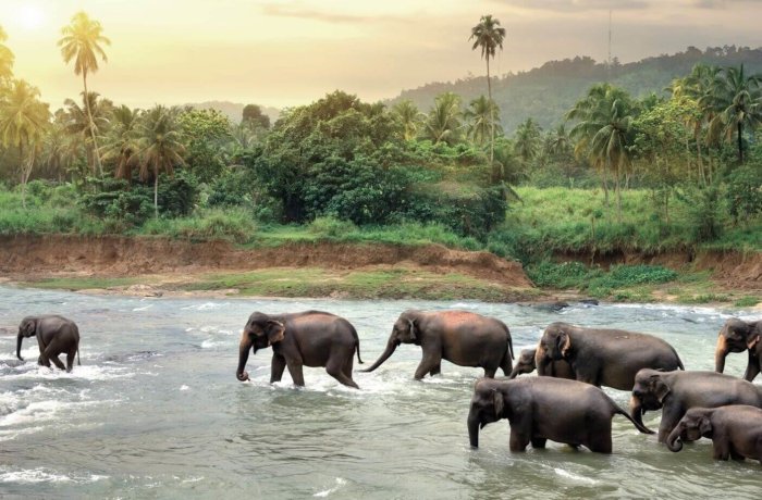 iStock-505221662_ret