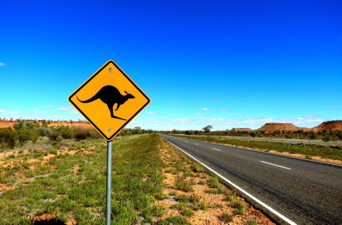 Australien. Schild, Känguru, Landschaft, work-and-travel