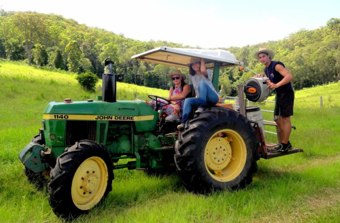 Australien, Work-and-Travel, Farmstay, Gruppe