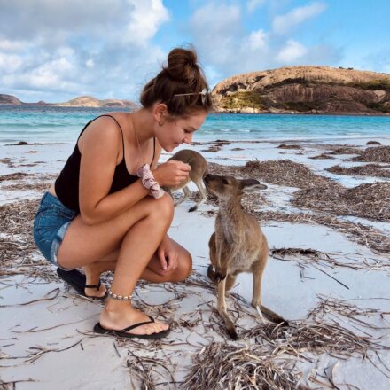 Mädchen füttert Känguru am Strand von Australien, Work-and-travel