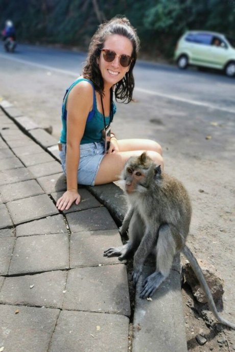 Bali, Wildlife-und-Tierschutz, Affe, Freiwilligenarbeit