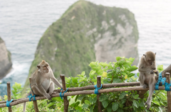 Bali-Adventure-paket