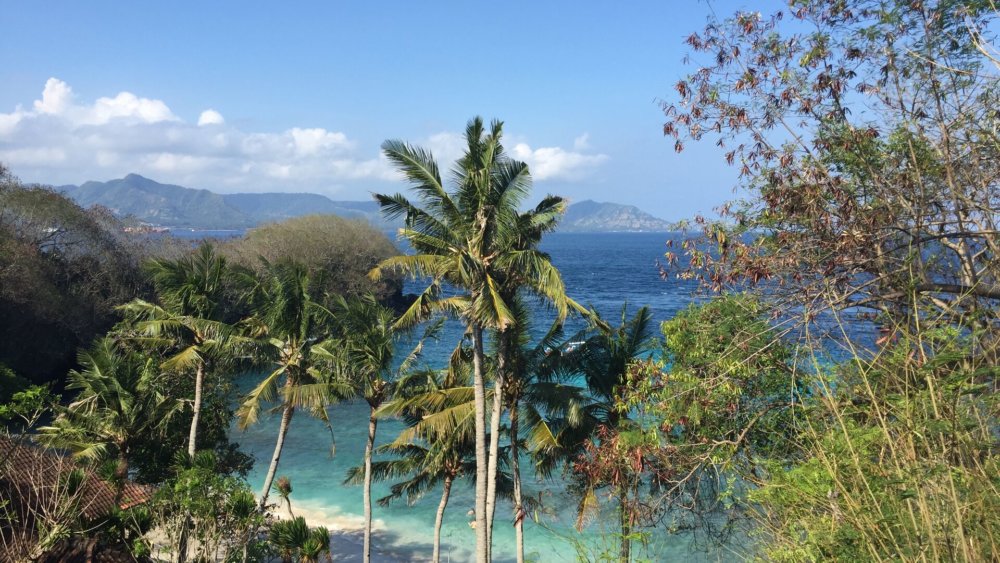 Landschaft, Bali, palmen, Strand