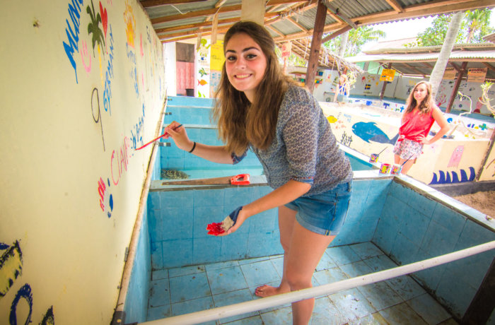 Building, Freiwilligenarbeit, Bali