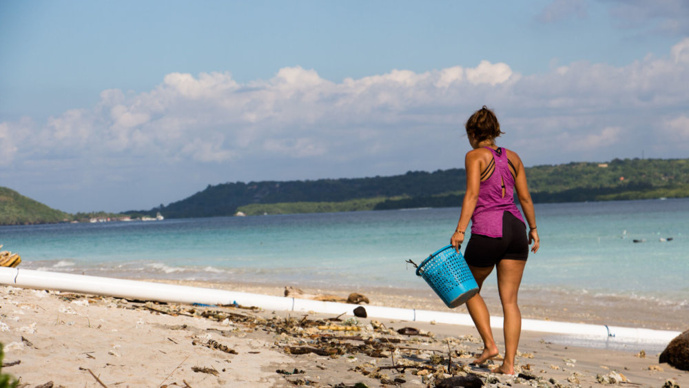 Meeresschildkröten-Projekt, Freiwilligenarbeit, Schildkröten, Bali