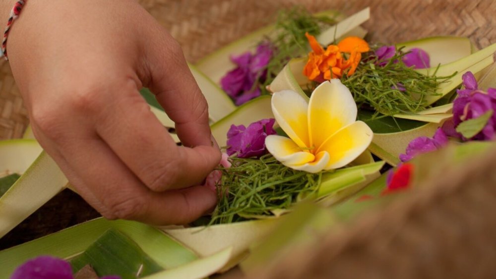 Blumen, opfergaben, bali