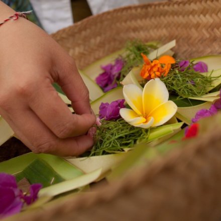Blumen, opfergaben, bali