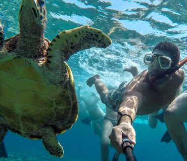 Taucher macht selfie mit Schildkröte