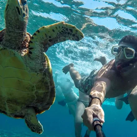 Taucher macht selfie mit Schildkröte