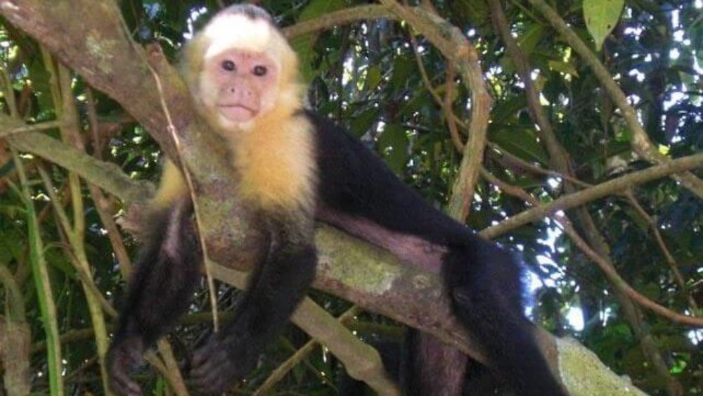 jennifer-schiffers-3