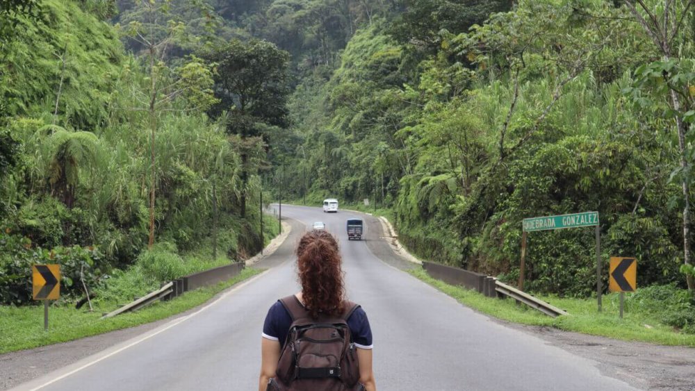 Freiwilligenarbeit, Costa-Rica, Wildlife