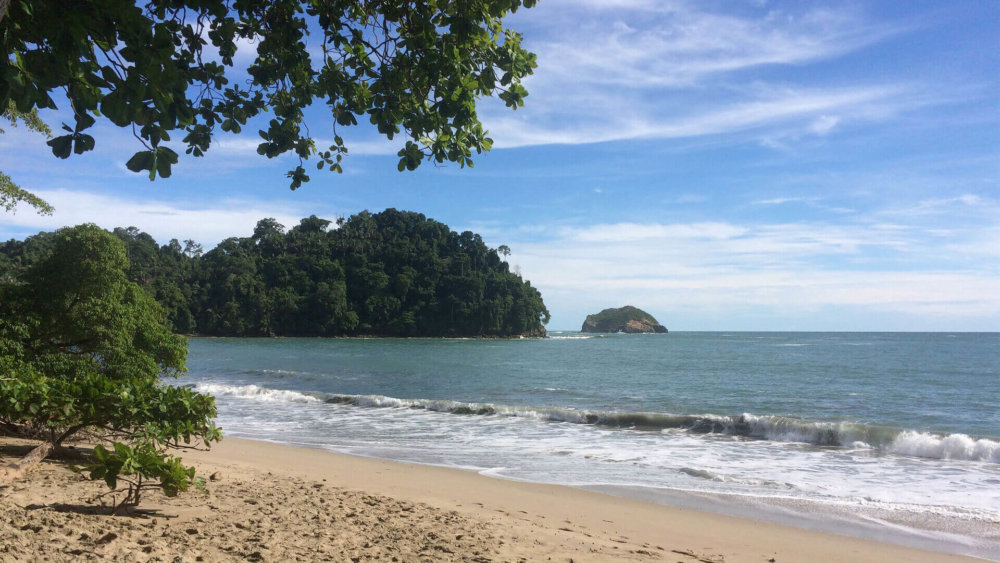 Costa-Rica, Freiwilligenarbeit, Wildlife, Tierschutz, Strand