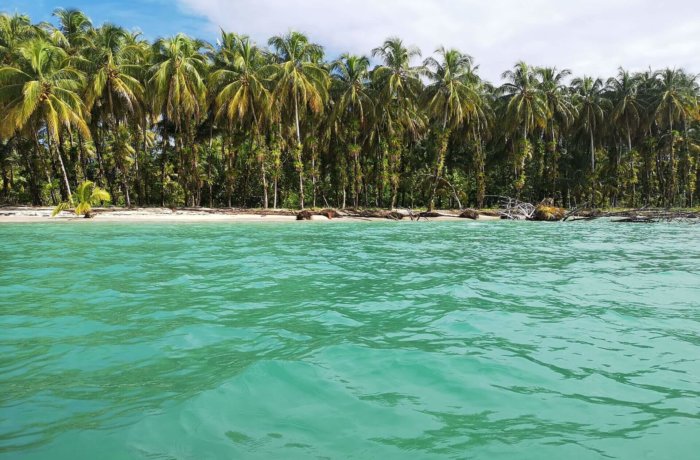 Costa-Rica, Palmen, Strand, Landschaft