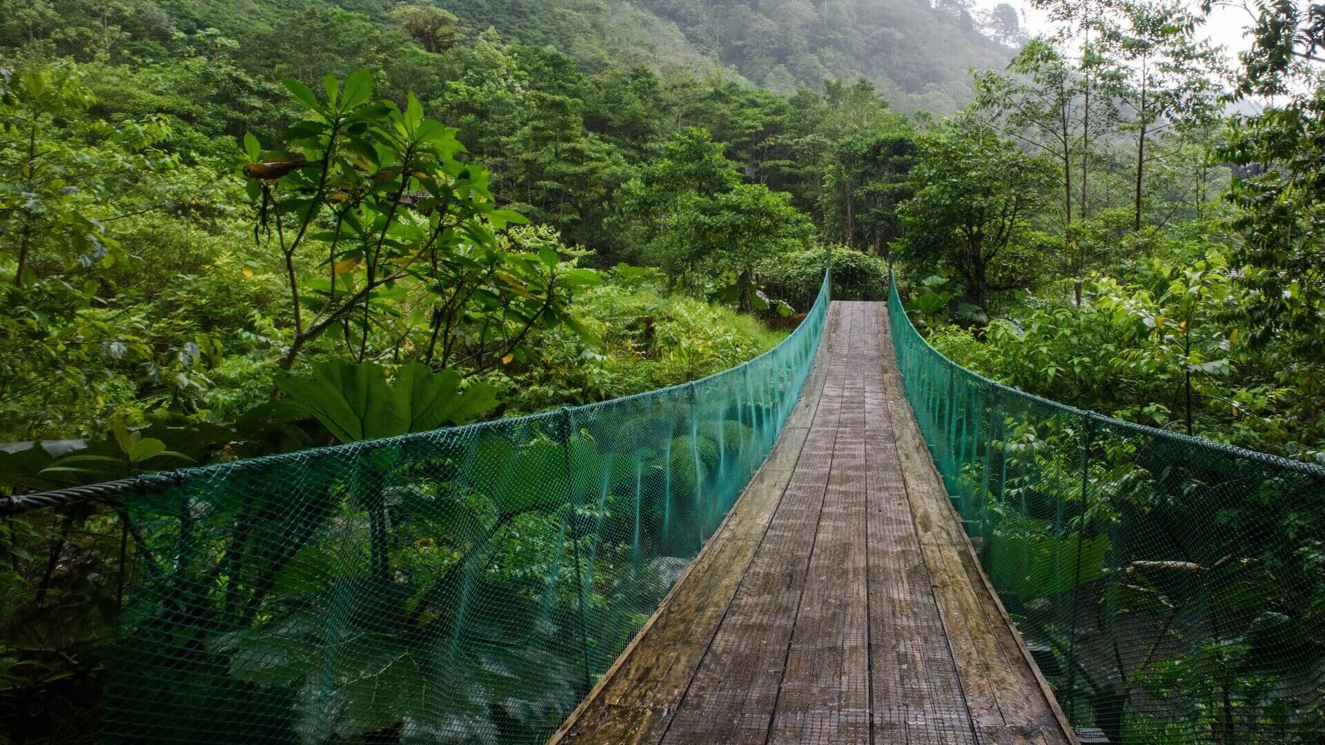 Costa-Rica, landschaft, Freiwilligenarbeit, Brücke