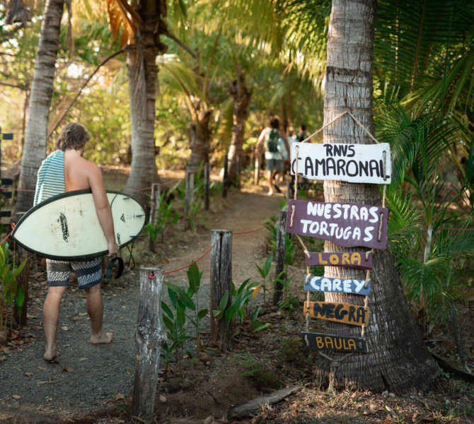 Surfer mit Board geht einen Pfad entlang, umgeben von Palmen, vorbei an einem bunten Wegweiser in tropischer Umgebung.