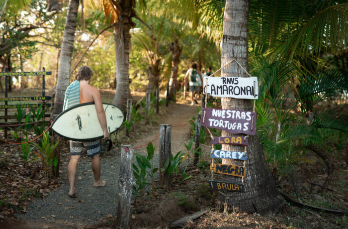 Surfer mit Board geht einen Pfad entlang, umgeben von Palmen, vorbei an einem bunten Wegweiser in tropischer Umgebung.