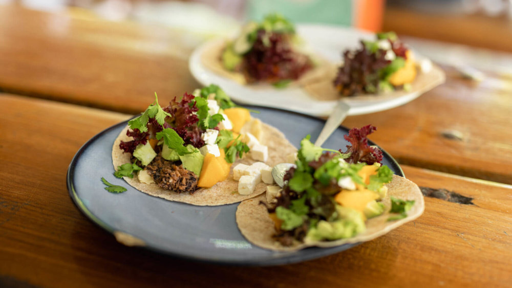 Frisch zubereitete Tacos mit Avocado Salat und Käse auf Tellern angerichtet auf rustikalem Holztisch in entspannter Atmosphäre.