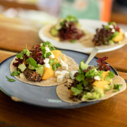 Frisch zubereitete Tacos mit Avocado Salat und Käse auf Tellern angerichtet auf rustikalem Holztisch in entspannter Atmosphäre.