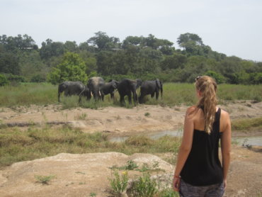 Wildlife-und-Tierschutz, Freiwilligenarbeit, Namibia