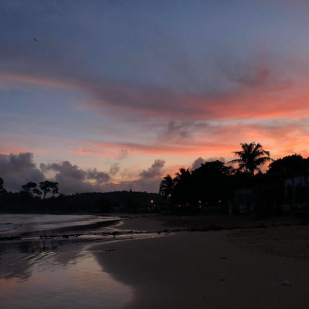 Landschaft, Natur, Ghana, Strand, Palmen