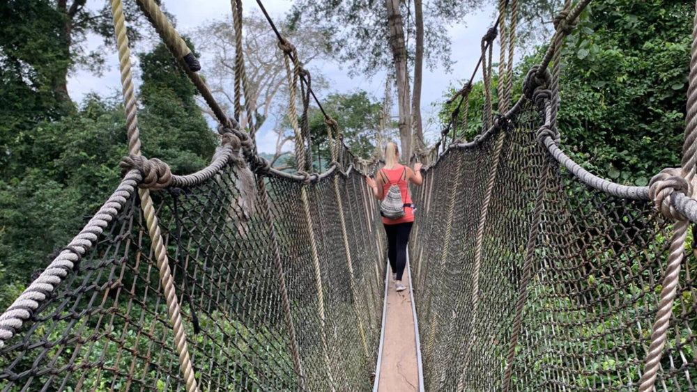 ich-im-monkey-nationalpark-in-ghana_2