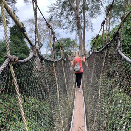 ich-im-monkey-nationalpark-in-ghana_2