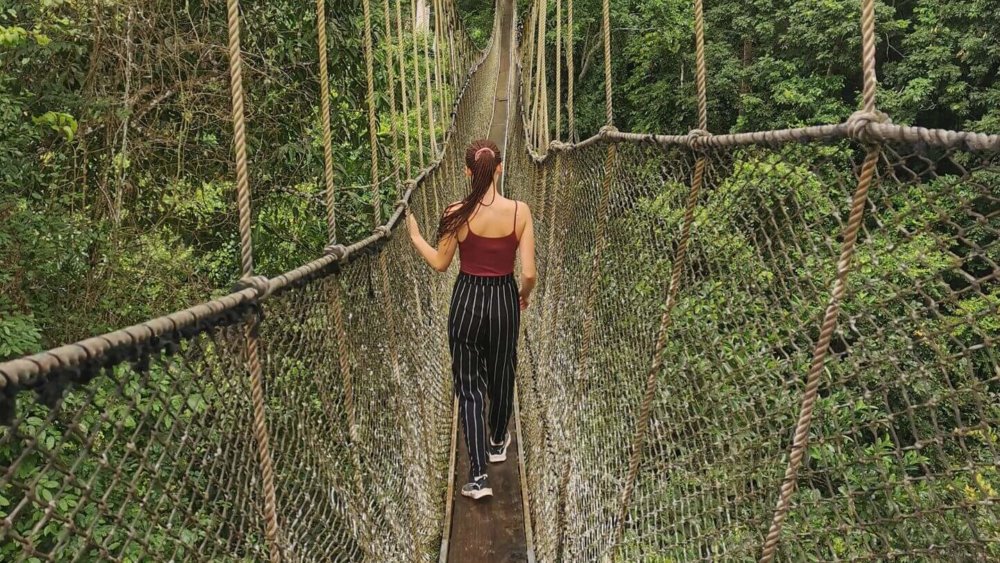 Frau geht über die Hängebrücke beim Canopy Walk im Kakum Nationalpark umgeben von dichtem Regenwald
