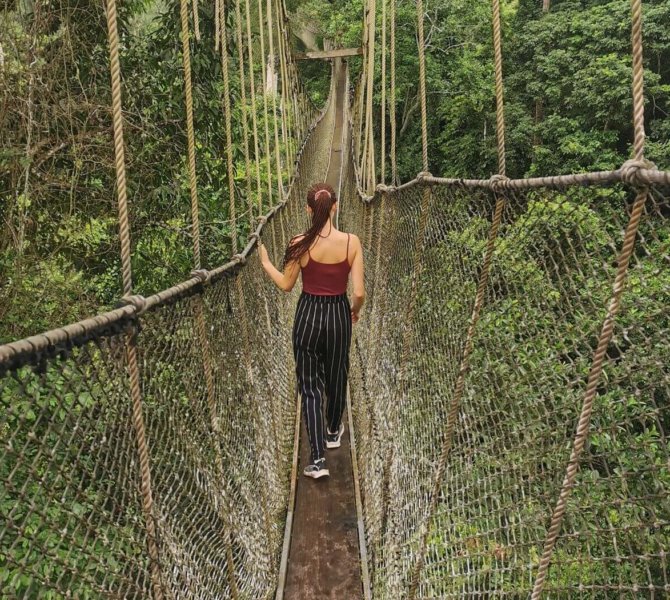 Frau geht über die Hängebrücke beim Canopy Walk im Kakum Nationalpark umgeben von dichtem Regenwald