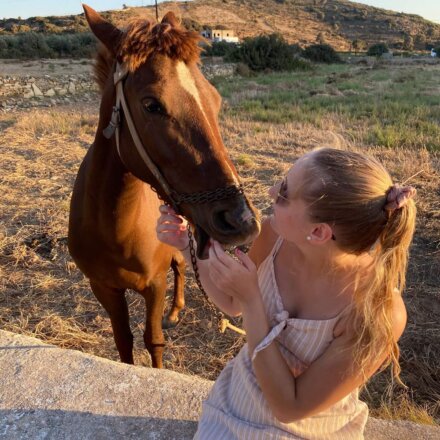 Freiwillige füttert Pferd liebevoll bei Sonnenuntergang während Tierschutzprojekt in Griechenland