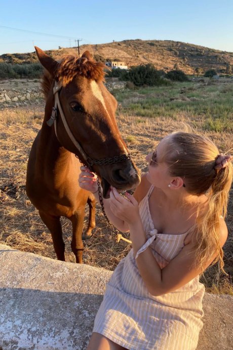 Freiwillige füttert Pferd liebevoll bei Sonnenuntergang während Tierschutzprojekt in Griechenland