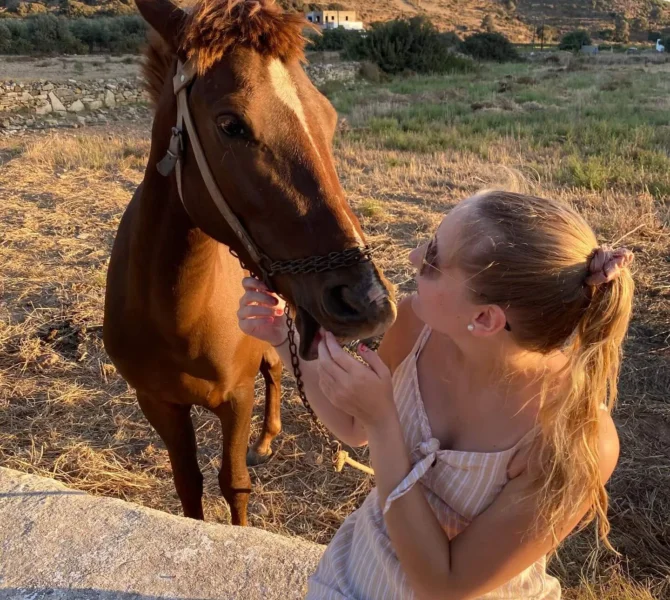 Freiwillige füttert Pferd liebevoll bei Sonnenuntergang während Tierschutzprojekt in Griechenland