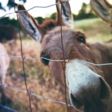 tim-mossholder-LdWlt-MivHI-unsplash