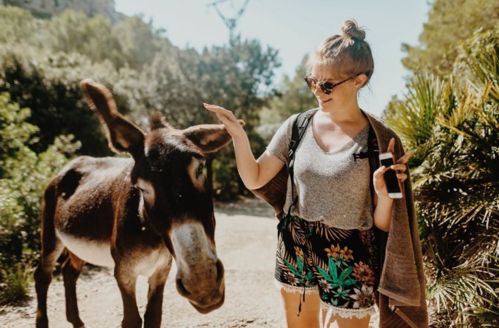 Junge Frau trifft auf einem sonnigen Wanderweg auf einen Esel und streckt ihm freundlich die Hand entgegen in Griechenland
