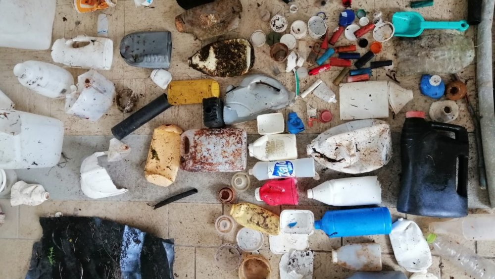 Natur-und-Klimaschutz, Save-the-Planet, Island