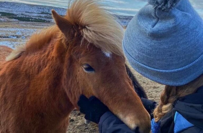 9eedb2ba-84d7-4791-b4d9-906ea7cf4bbb