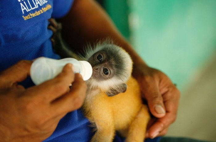 pexels-joshua-prieto-7363954