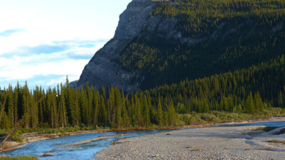 verkleinert-kanada-freiwilligenarbeit-farmstay-kathrin-007