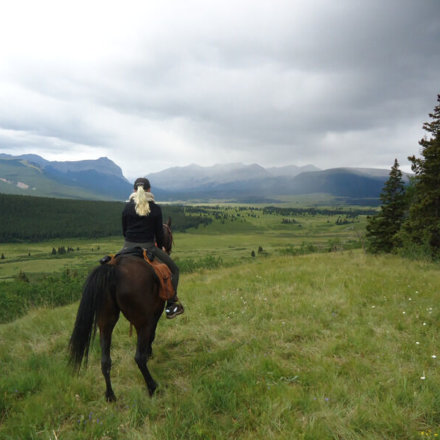 verkleinert-kanada-freiwilligenarbeit-farmstay-kathrin-009