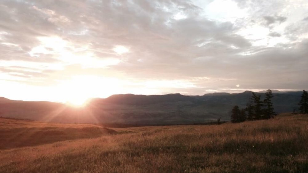 kanada-freiwilligenarbeit-farmstay-katja-001