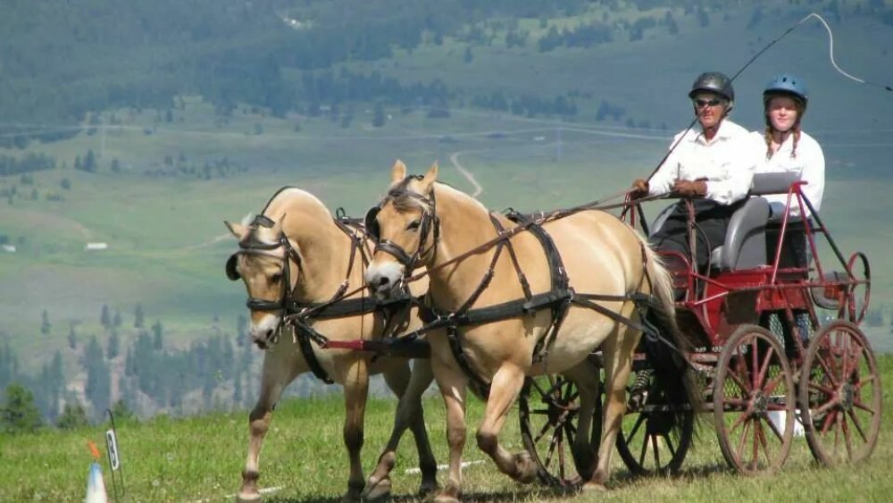 kanada-freiwilligenarbeit-farmstay-katja-002