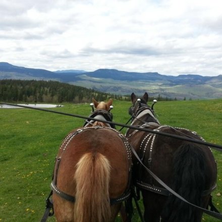 kanada-freiwilligenarbeit-farmstay-katja-004