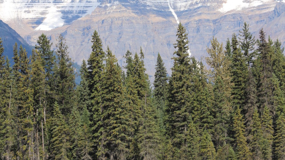 Kanada, Rafting, Fluss, berge